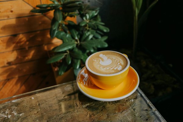 comment camoufler les cernes efficacement